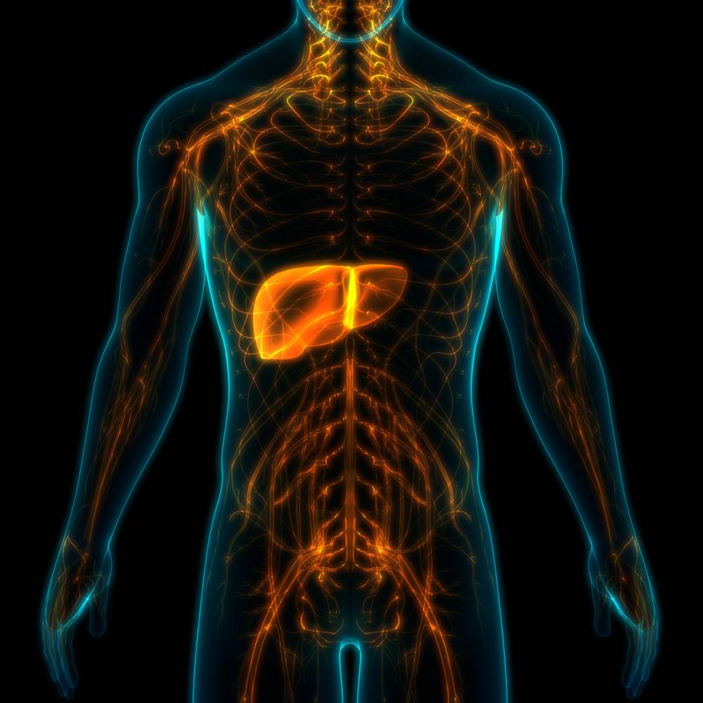 Acute Liver Failure Due to Anesthesia 