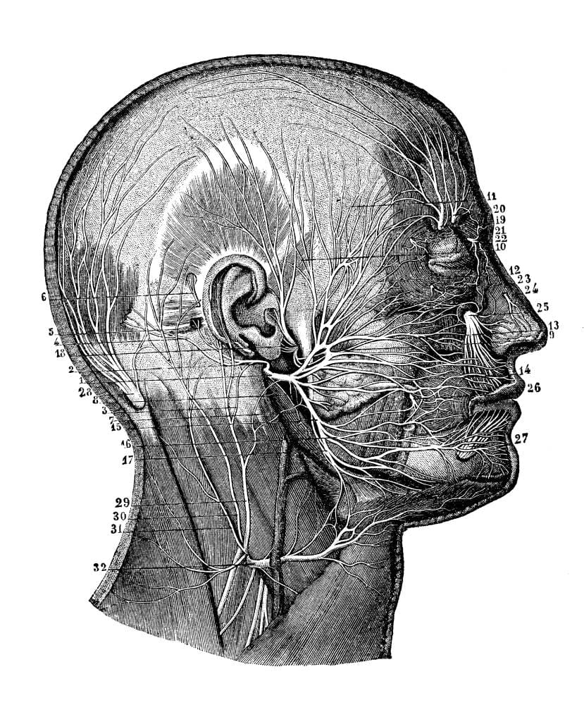 Uses for Facial Nerve Blocks 