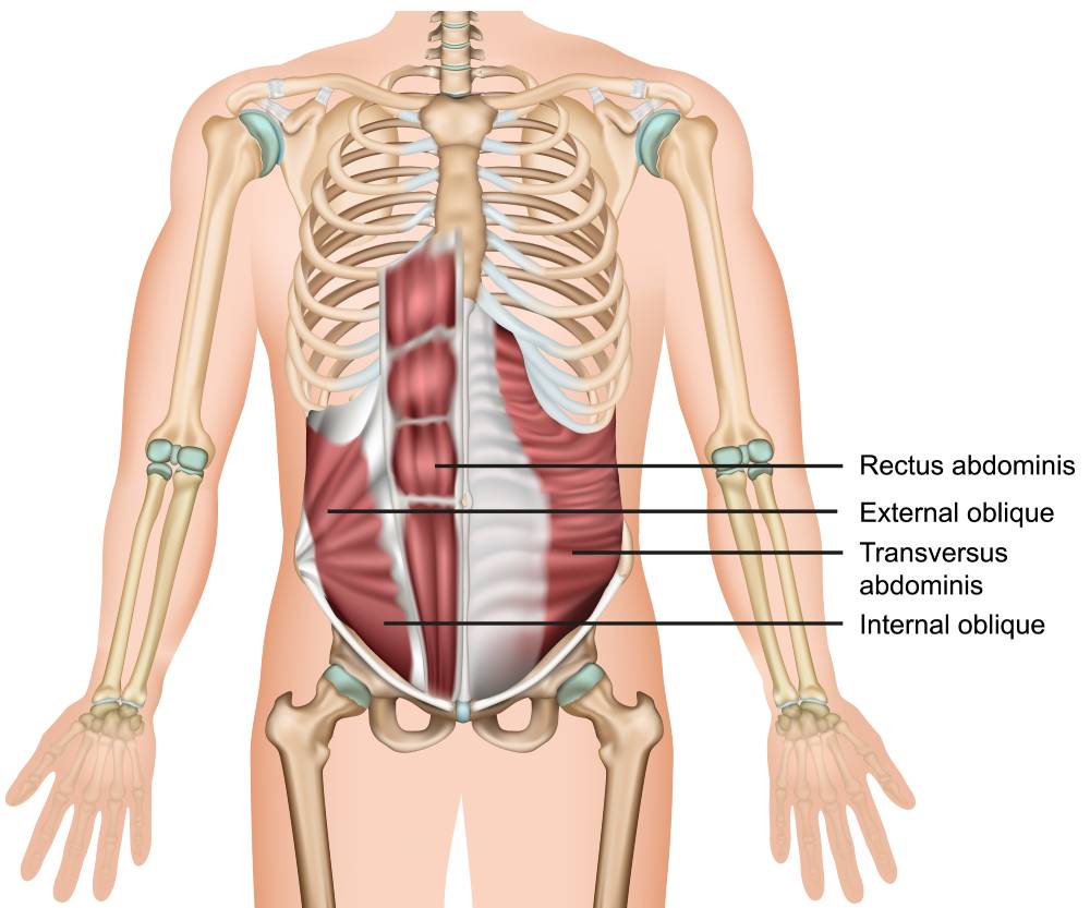Nerve Blocks for the Abdomen